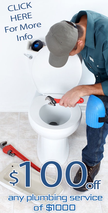 toilet repair Offer